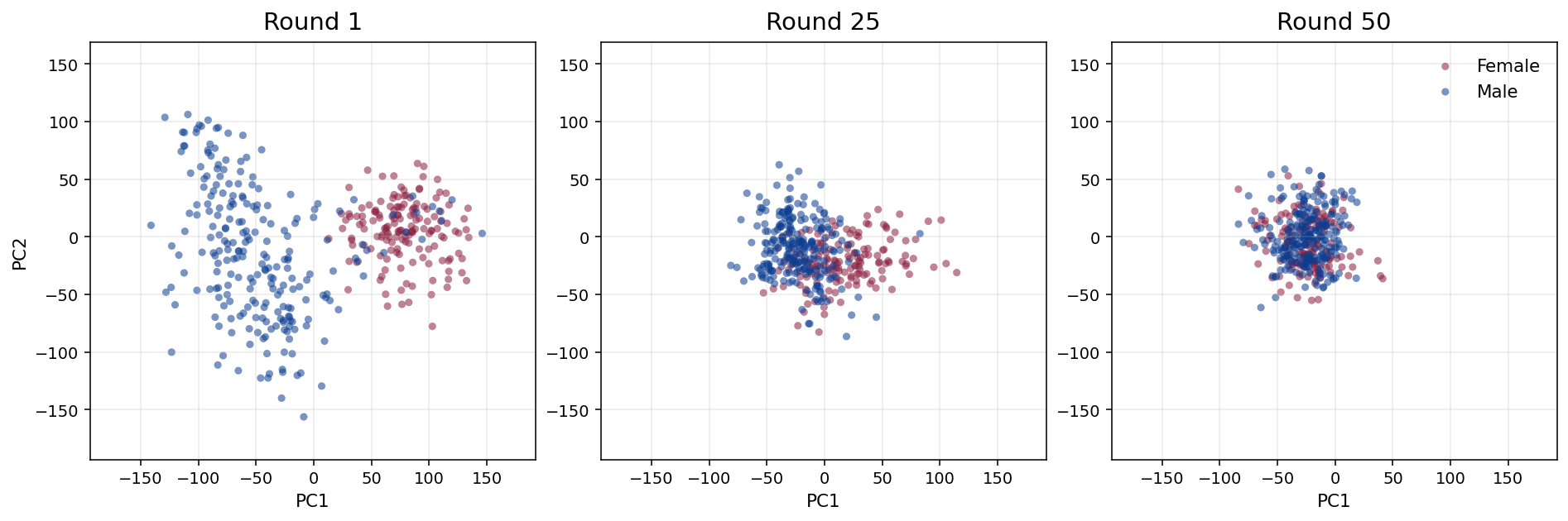 Three side-by-side PCA scatter plots at rounds 1, 25, and 50. Round 1 shows two clearly separated male and female clusters. Round 25 shows overlap beginning. Round 50 shows a single merged cluster.
